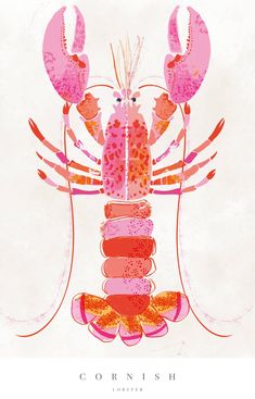 an illustration of lobsters with different colors and sizes