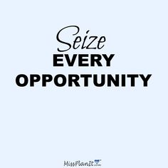 the words seize every opportunity are in black on a light blue background with an image of