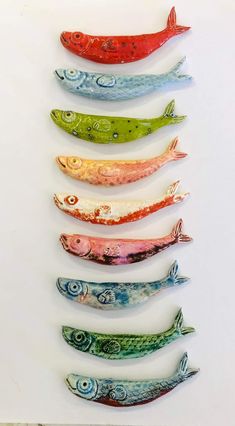 five different colored fish are arranged in a row on a white surface, each with an individual's own image