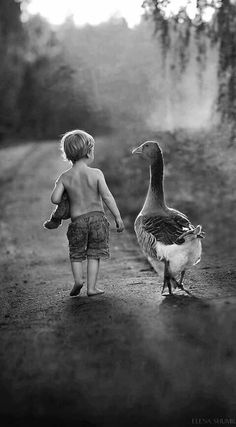 a little boy standing next to a duck on a dirt road with trees in the background