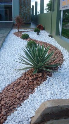 an outdoor garden with rocks and plants in the front yard, along side a building