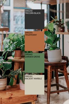 the interior of a house with potted plants and color swatches in shades of green