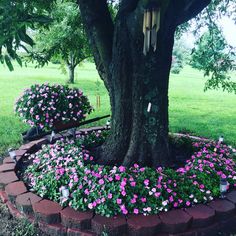 a tree with pink flowers around it in the middle of a brick garden bed area