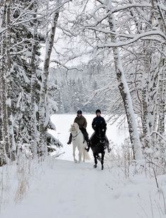 two people are riding horses through the snow in front of some trees with words on it