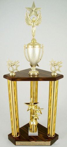 the trophy is on display with other trophies