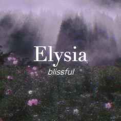 the words elysia blissful are in front of a field of wildflowers