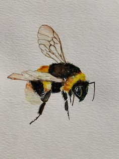 a watercolor painting of a bee on white paper with black and yellow stripes,