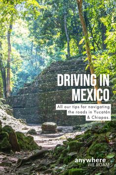 the cover of driving in mexico with text overlaying it and an image of a jungle