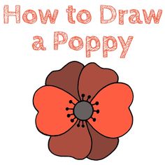 an orange flower with the words how to draw a poppy