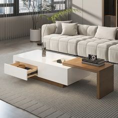 a living room with a couch, coffee table and plant in the corner on carpeted flooring