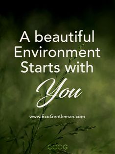 a beautiful environment starts with you - coco greenman quote on nature photo and grass background