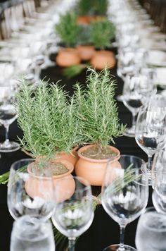 an image of a long table with glasses and plants in them on it's twitter page