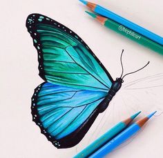 a drawing of a blue butterfly with two pencils next to it on a white surface