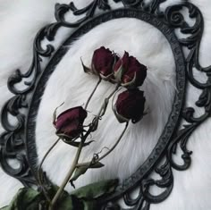 three red roses in a black frame on a white fur rug with an ornate border