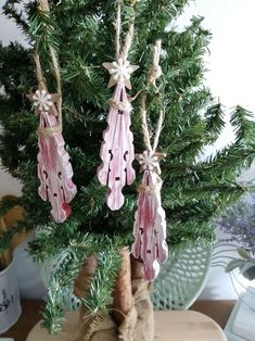 some ornaments are hanging from the branches of a christmas tree in a potted plant