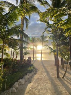 the sun shines through palm trees on a tropical beach