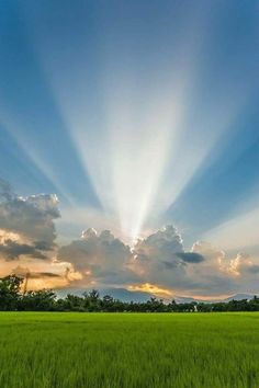 the sun shining through clouds over a green field