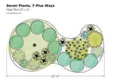 the diagram shows an arrangement of plants and flowers