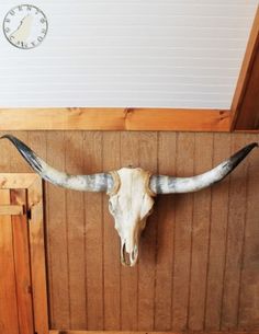 an animal skull mounted on the wall in a room with wood paneling and a clock