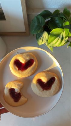 three heart shaped pastries on a white plate next to a potted green plant