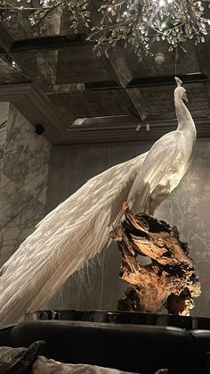 a large white bird sitting on top of a wooden stump next to a chandelier