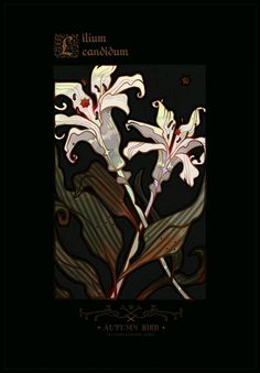 an image of some flowers on a black background