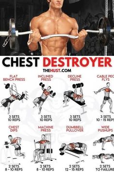 the chest workout chart shows how to use dumbbells and pull ups for back muscles