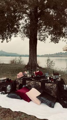 a picnic table set up under a large tree by the water with many items on it