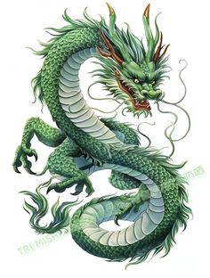 a green and white dragon is shown in this tattoo art print by artist mark stewart