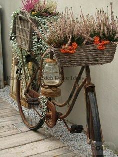 an old bicycle with flowers in the basket