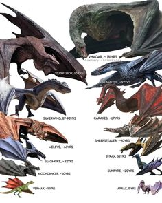 the different types of dragon wings are shown in this diagram, with each individual flying type