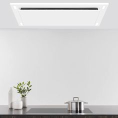 a kitchen counter with a potted plant on it and a white wall in the background