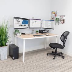 an office with three computer screens and a plant in front of the monitor on the desk