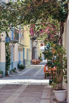 an alley way with potted plants on either side