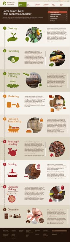 an info sheet showing different types of food and drinks on the menu, including chocolates