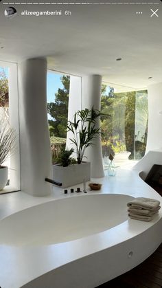 a large white bath tub sitting inside of a bathroom next to a tall planter