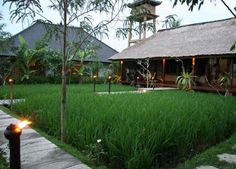 the house is surrounded by tall grass and has a walkway leading up to it with lights on either side