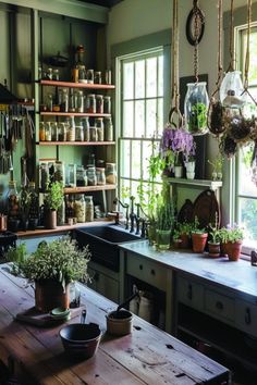 a kitchen filled with lots of potted plants and hanging pots on the wall next to a window