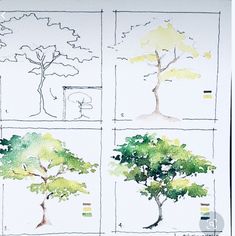 four different types of trees are shown in this drawing