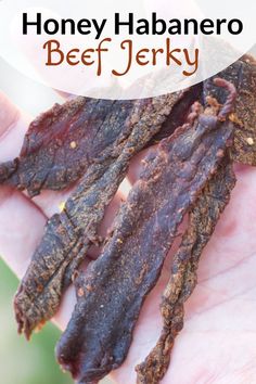 Close-up of thin strips of honey habanero beef jerky in a hand, highlighting their dark, dried surface and spicy seasoning London Broil Jerky Recipes, Jalapeno Jerky Recipe, Jalapeno Beef Jerky Recipe, Spicy Jerky Recipe, Hunting Snacks, Sweet And Spicy Beef Jerky Recipe, Jerky Seasoning Recipe, Spicy Beef Jerky Recipe, Jerky Marinade Recipes