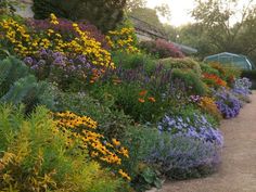 a garden filled with lots of different types of flowers next to a building and trees