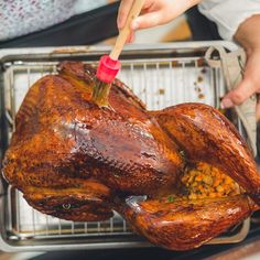 31 Turkey Tips for the Perfect Thanksgiving Dinner | Taste of Home Turkey Roasting