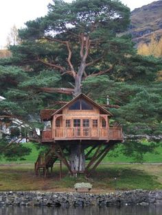 a tree house sitting on top of a lush green field next to a body of water