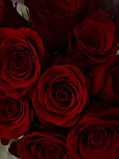 a bunch of red roses sitting in a vase