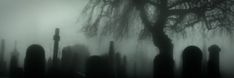 a cemetery in the fog with trees and tombstones