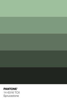 pantone's green and black color scheme with the words pantone on it