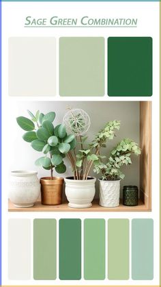 the color scheme for sage green combination with white and gold accents, including potted plants