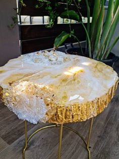 a table that has some kind of rock on it and is sitting in front of a potted plant