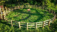 a horse standing in the middle of a fenced in area surrounded by green grass