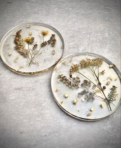 two glass plates with pressed flowers on them